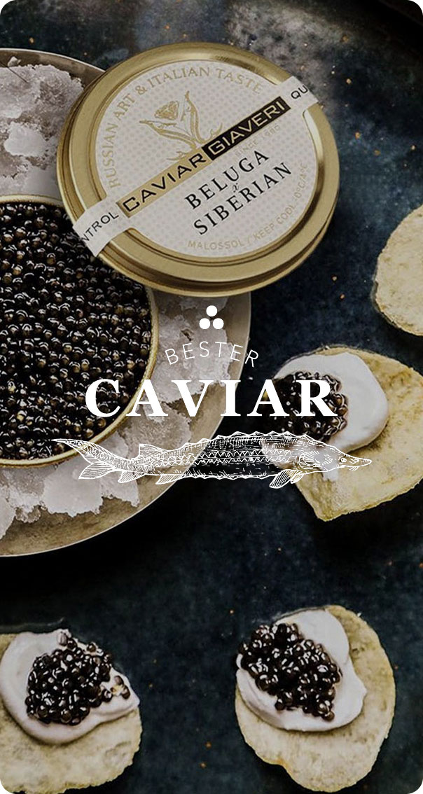 Alt Text: beluga caviar served on small canapés with cream and open tin on ice, styled for a luxury branding project by a miami web design company