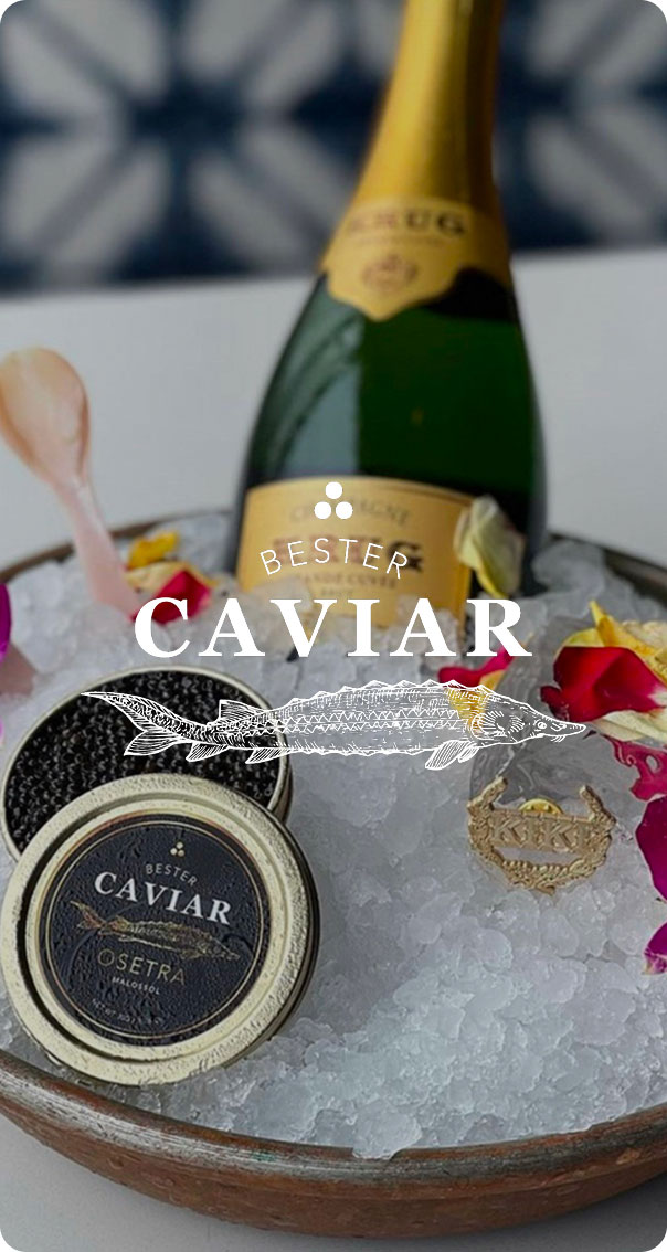 Alt Text: premium caviar tin on ice with champagne bottle and luxury presentation, featured in a branding project by a miami web design company