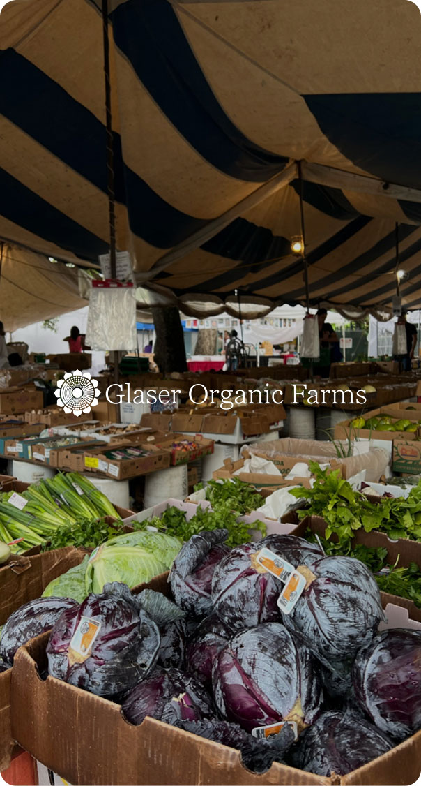 organic farmers market stand with fresh vegetables including cabbage and greens