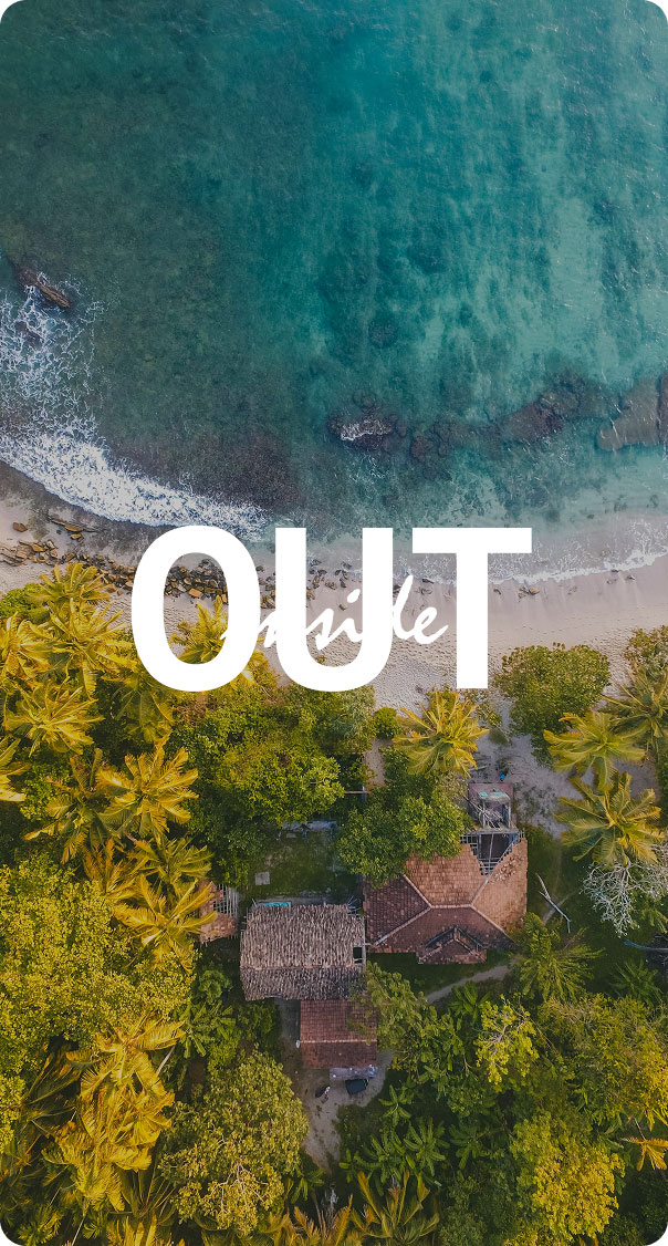 aerial view of tropical coastline with palm trees beach and turquoise ocean