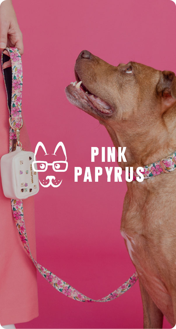 brown dog looking at floral leash with waste bag holder on pink background