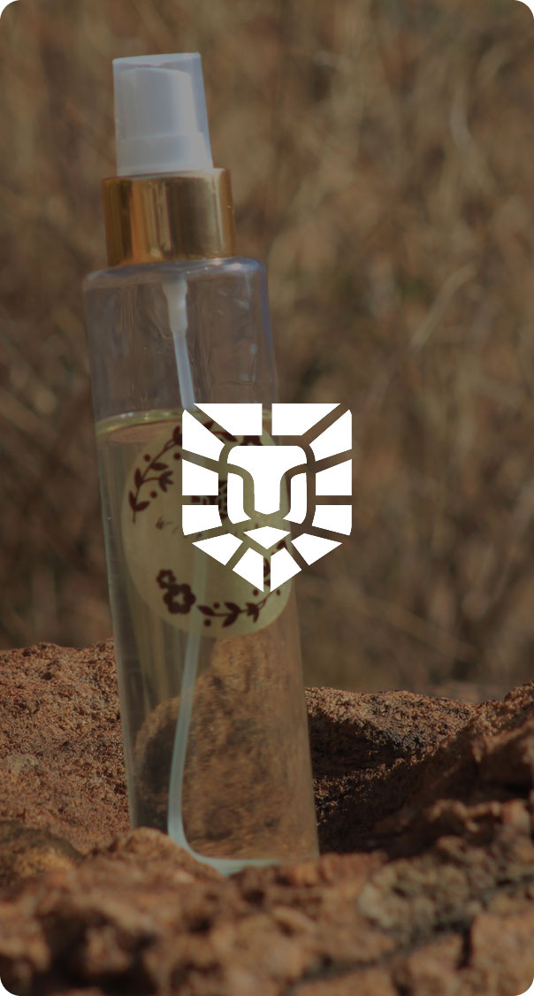 Wise Lion-4
